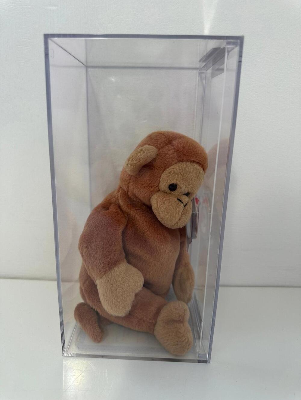Ty Beanie Baby “Bongo” the Monkey Brown Tail - 3rd Gen Authenticated MWMT MQ!